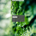 Linux Mint 15 MDM HTML Greeter