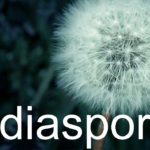 Diaspora 0.1.0.0