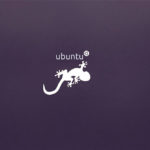 Ubuntu 13.10 Saucy Salamander